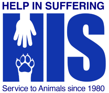 Help In Suffering