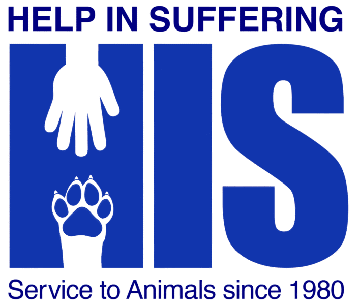 Help In Suffering